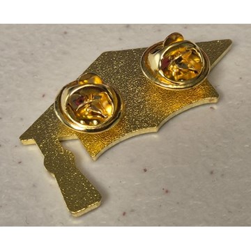 GIS Class Year Enamel Pin Badge